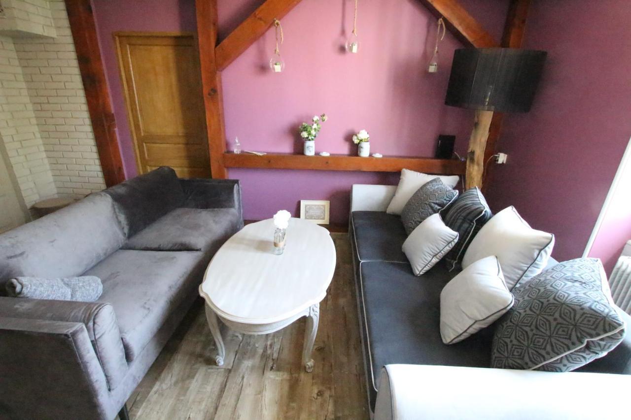 Colmar City Center - Apartment Duplex Marigny - Bookingalsace Exteriör bild